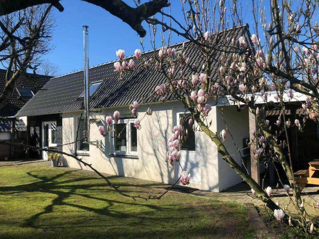 De Hazeldonck Villa Gemert Exterior foto